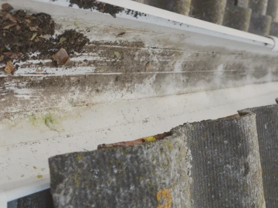 Rengør dine tagrender Billede af en tagrende, der er algebefængt. Algerne er grønne og slimede, og de har tilstoppet tagrenden. Tag: algebehandling, alger, mos, tagrensning, tagrender Hus: vedligeholdelse, renovering, udseende Miljø: sundhed, bæredygtighed Service: professionel, effektiv, garanti