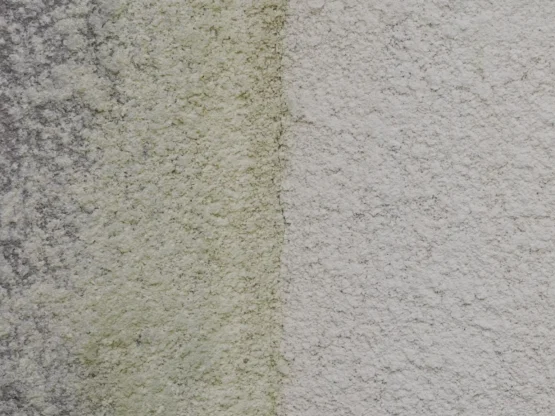 Billede af en facade, der er blevet behandlet med algemiddel. Den ene halvdel af facaden er behandlet, og den anden halvdel er stadig dækket af alger. Forskellen er tydelig! Den behandlede side er ren og lys, mens den ubehandlede side er mørk og grøn. Hus: facade, algebehandling, alger, mos, facaderensning Udseende: smuk, ren, sund Miljø: bæredygtighed Service: professionel, effektiv, garanti Kundeservice: gratis tilbud, hurtig levering, tilfredshedsgaranti